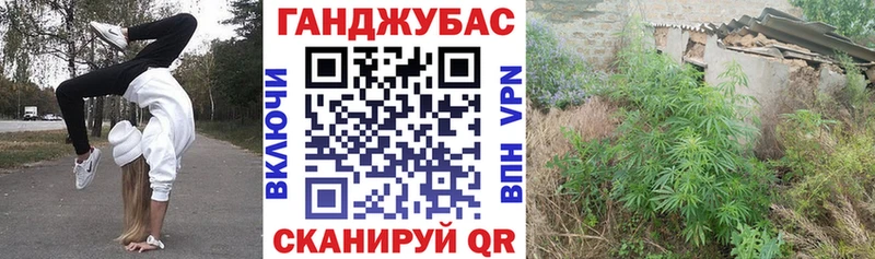 Канабис Могоча