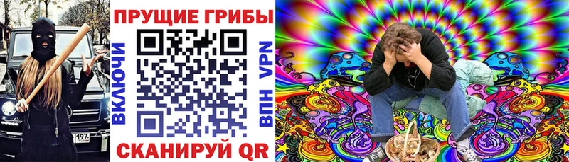 Купить где  Могоча  Псилоцибиновые грибы MAGIC MUSHROOMS 