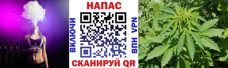 Бошки Шишки Ganja  Купить закладки  Могоча 